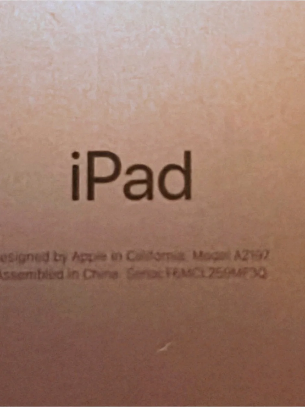Apple Dark Silver Tablet with White and Black Braided Lightning Cable